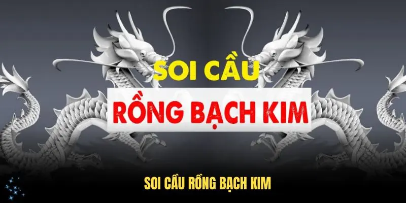 Soi Cầu Rồng Bạch Kim Và Những Thông Tin Thú Vị Cho Người Chơi
